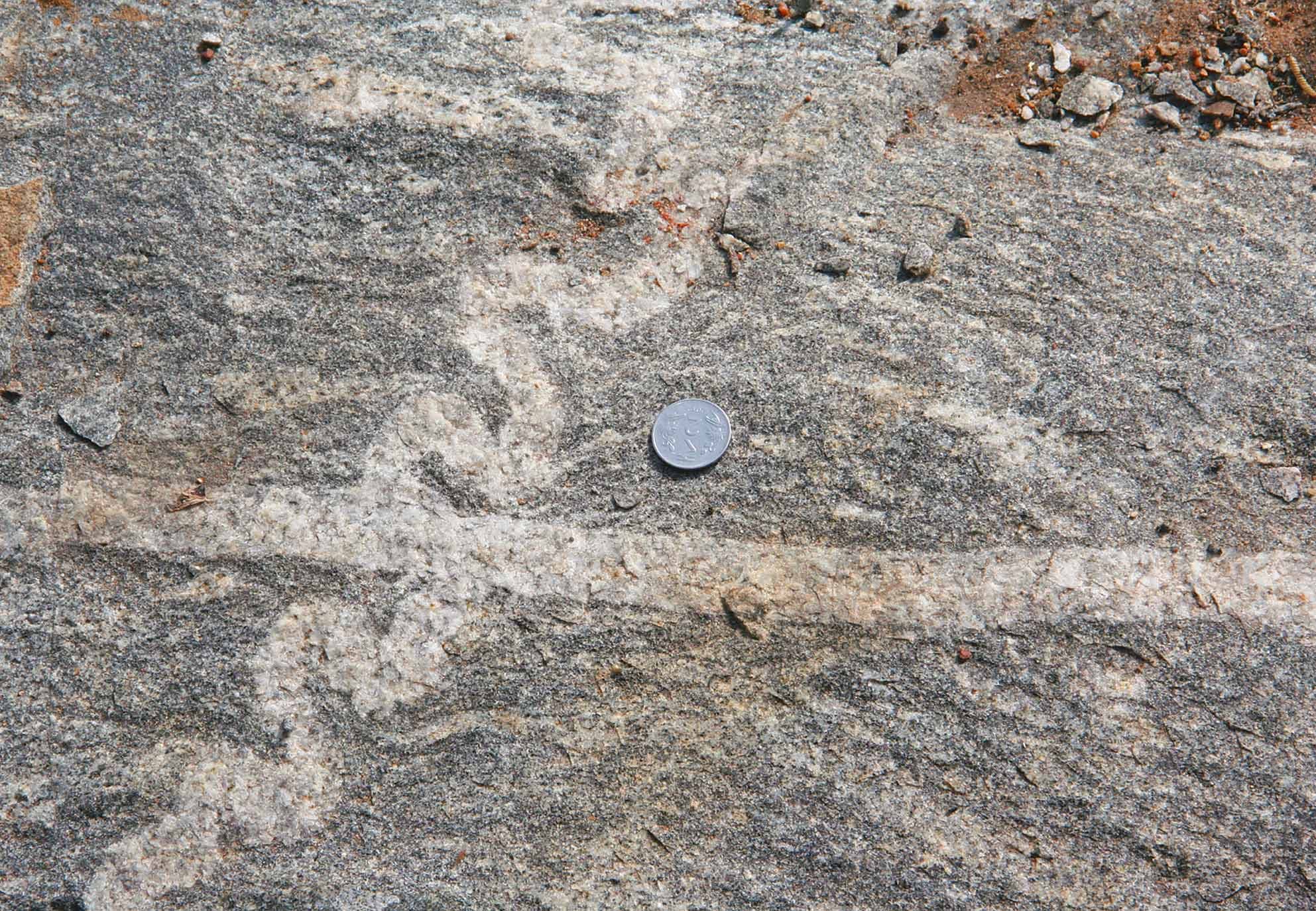 Orthogneiss