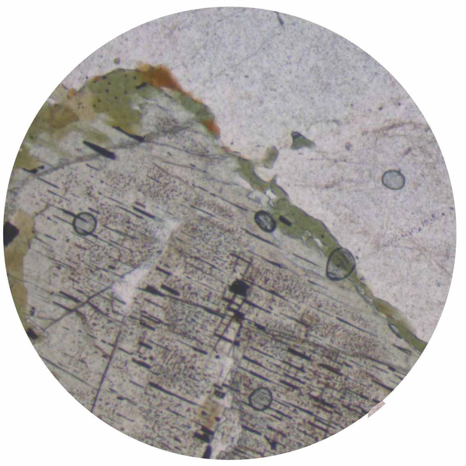 Roche de pyroxène